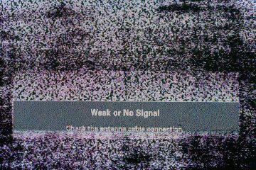 No Signal