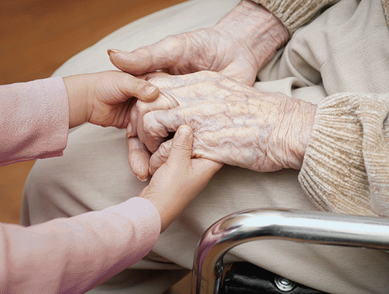 Seniors Visitation