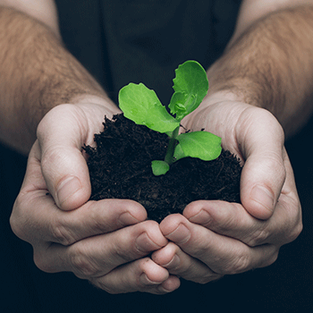 Stewardship